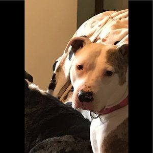 Meet your Posher, Paul